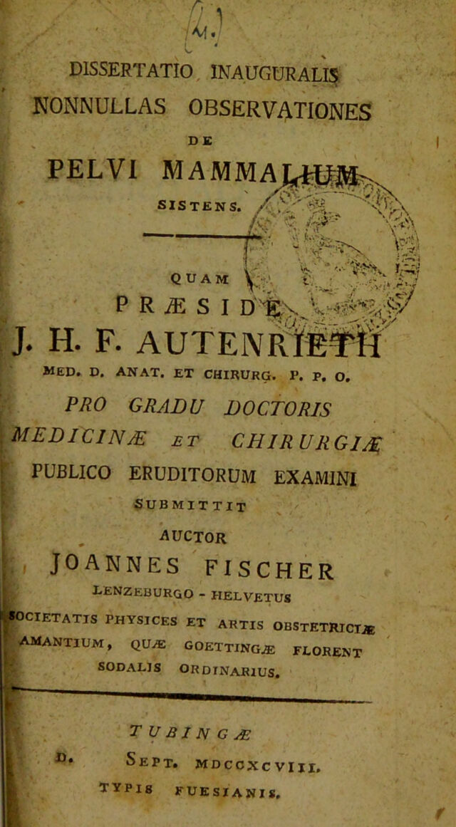 Dissertatio Inauguralis Nonnullas Observationes De Pelvi Mammalium Sistens Quam Praeside J H F Autenrieth Pro Gradu Doctoris Medicinae Et Chirurgiae Publico Eruditorum Examini Submittit Wellcome Collection